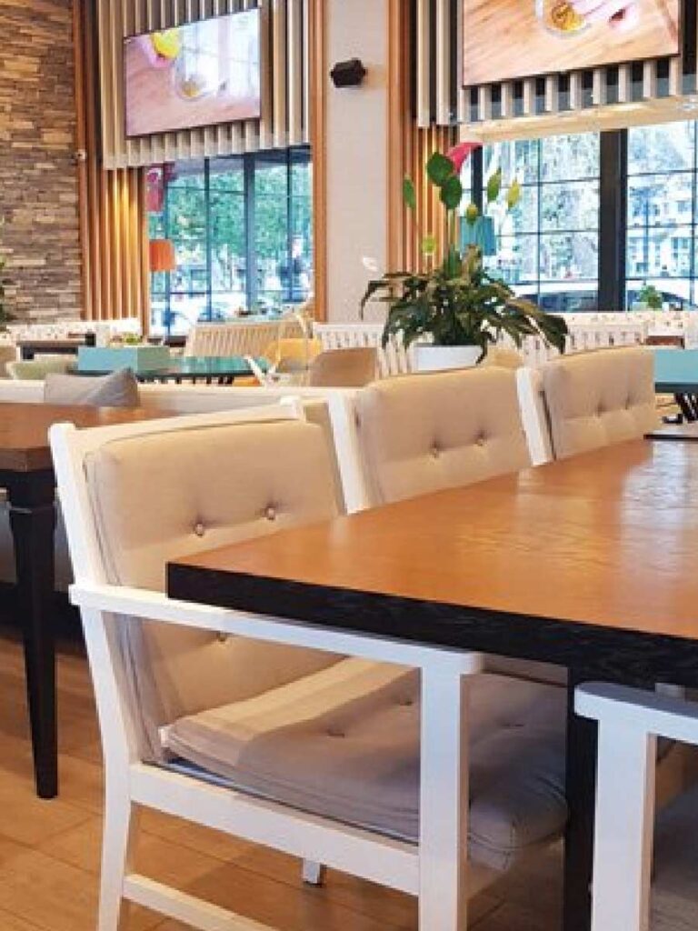 scaune fotolii canapele mobilier horeca hotel restaurant receptie cafeanea bar terase